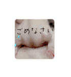 ゆるかわのモモミルクふくろももんが帰宅部（個別スタンプ：10）