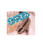 ゆるかわのモモミルクふくろももんが帰宅部（個別スタンプ：16）