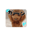 レナキヨ（個別スタンプ：1）