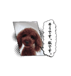レナキヨ（個別スタンプ：6）