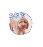 レナキヨ（個別スタンプ：8）