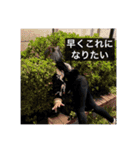 佐々木・ツー（個別スタンプ：9）
