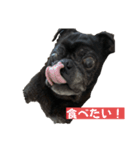 じゃすたんぷ(静止)（個別スタンプ：6）