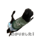 じゃすたんぷ(静止)（個別スタンプ：8）