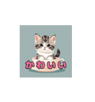 かわいい猫ちゃんスタンプ2（個別スタンプ：8）