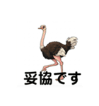 動物のオヤジギャグ car.1.3（個別スタンプ：2）