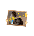 フィガロ＆チロルの動くスタンプ（個別スタンプ：3）