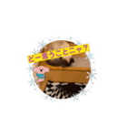 フィガロ＆チロルの動くスタンプ（個別スタンプ：14）