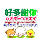 広東語（香港）＋日本語 連絡用 発音付き（個別スタンプ：11）