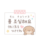 分かりやすい！韓国語♡トイプー（個別スタンプ：14）