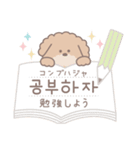 分かりやすい！韓国語♡トイプー（個別スタンプ：19）