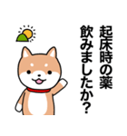 お薬飲んだ？ 芝犬さん 日常介護スタンプ（個別スタンプ：1）