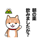 お薬飲んだ？ 芝犬さん 日常介護スタンプ（個別スタンプ：2）