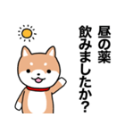 お薬飲んだ？ 芝犬さん 日常介護スタンプ（個別スタンプ：3）