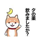 お薬飲んだ？ 芝犬さん 日常介護スタンプ（個別スタンプ：4）