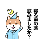 お薬飲んだ？ 芝犬さん 日常介護スタンプ（個別スタンプ：5）