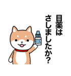 お薬飲んだ？ 芝犬さん 日常介護スタンプ（個別スタンプ：6）