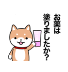 お薬飲んだ？ 芝犬さん 日常介護スタンプ（個別スタンプ：8）