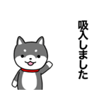 お薬飲んだ？ 芝犬さん 日常介護スタンプ（個別スタンプ：11）