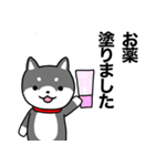 お薬飲んだ？ 芝犬さん 日常介護スタンプ（個別スタンプ：12）