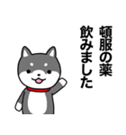 お薬飲んだ？ 芝犬さん 日常介護スタンプ（個別スタンプ：13）