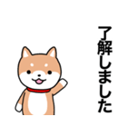 お薬飲んだ？ 芝犬さん 日常介護スタンプ（個別スタンプ：14）