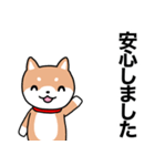 お薬飲んだ？ 芝犬さん 日常介護スタンプ（個別スタンプ：16）