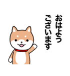 お薬飲んだ？ 芝犬さん 日常介護スタンプ（個別スタンプ：18）