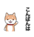 お薬飲んだ？ 芝犬さん 日常介護スタンプ（個別スタンプ：20）