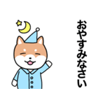 お薬飲んだ？ 芝犬さん 日常介護スタンプ（個別スタンプ：21）