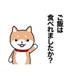 お薬飲んだ？ 芝犬さん 日常介護スタンプ（個別スタンプ：22）