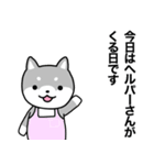 お薬飲んだ？ 芝犬さん 日常介護スタンプ（個別スタンプ：24）