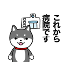 お薬飲んだ？ 芝犬さん 日常介護スタンプ（個別スタンプ：26）