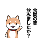 お薬飲んだ？ 芝犬さん 日常介護スタンプ（個別スタンプ：28）