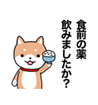 お薬飲んだ？ 芝犬さん 日常介護スタンプ（個別スタンプ：29）