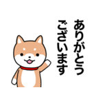 お薬飲んだ？ 芝犬さん 日常介護スタンプ（個別スタンプ：30）