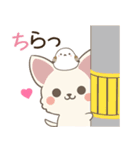 飛び出す♡ねことシマエナガとわんこ（個別スタンプ：8）