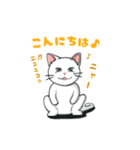 聞き上手なしろねこクウの日常（個別スタンプ：3）