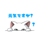 聞き上手なしろねこクウの日常（個別スタンプ：7）