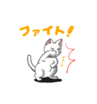 聞き上手なしろねこクウの日常（個別スタンプ：24）