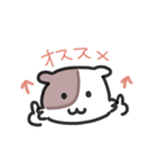 ほしゃすたんぷ8（個別スタンプ：10）