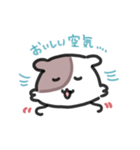 ほしゃすたんぷ8（個別スタンプ：20）