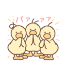 ひよこの3兄弟 3（個別スタンプ：3）