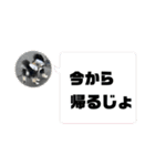 ポメラニアンのマロンくん3（個別スタンプ：3）