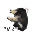 ポメラニアンのマロンくん3（個別スタンプ：18）