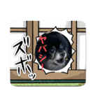 ポメラニアンのマロンくん3（個別スタンプ：19）