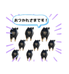 ポメラニアンのマロンくん3（個別スタンプ：21）