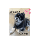 ポメラニアンのマロンくん3（個別スタンプ：27）