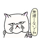 かわいいぶちゃねこ（個別スタンプ：11）