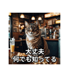 シュールなスナック猫（個別スタンプ：6）